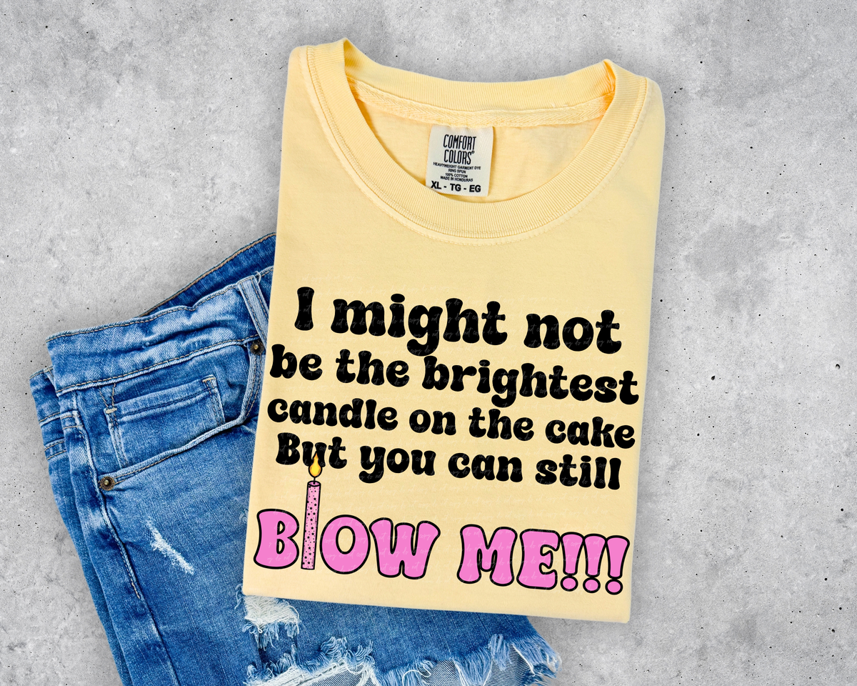 I Might Not Be The Brightest Candle On The Cake But You Can Still Blow Me 74684 DTF Transfer
