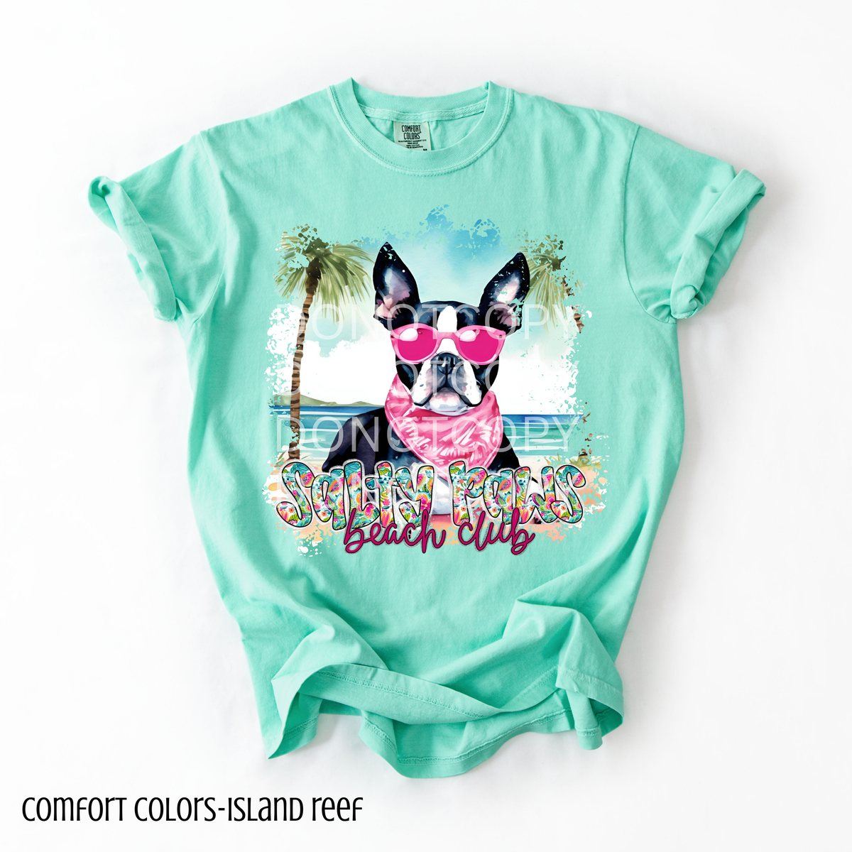 Boston Terrier Salty Paws Beach Club (CSG) 101085 DTF transfer