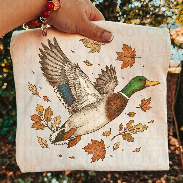 Flying duck with leaves (UAC) DTF Transfer