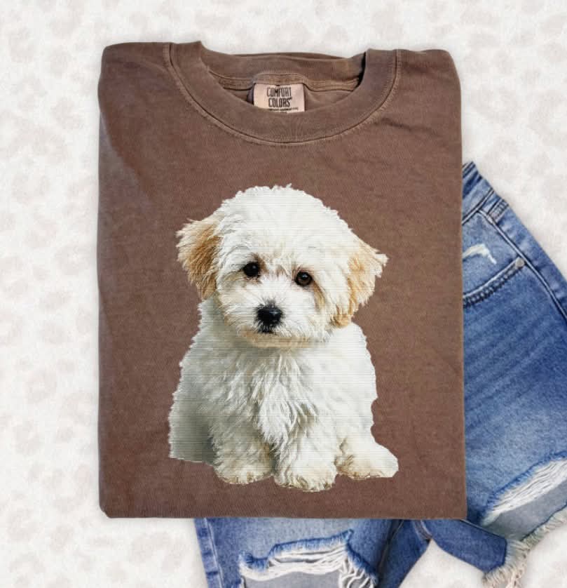 Needlepoint Bichon Poo (s&g) DTF Transfer