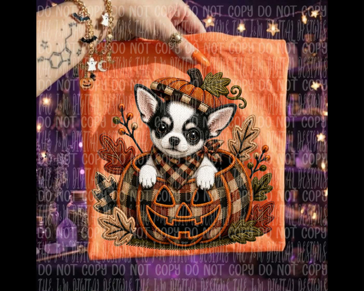 Black and white chihuahua in pumpkin (J&M) DTF transfer