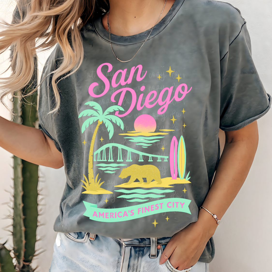 San Diego city blue and pink (PARKER) DTF transfer
