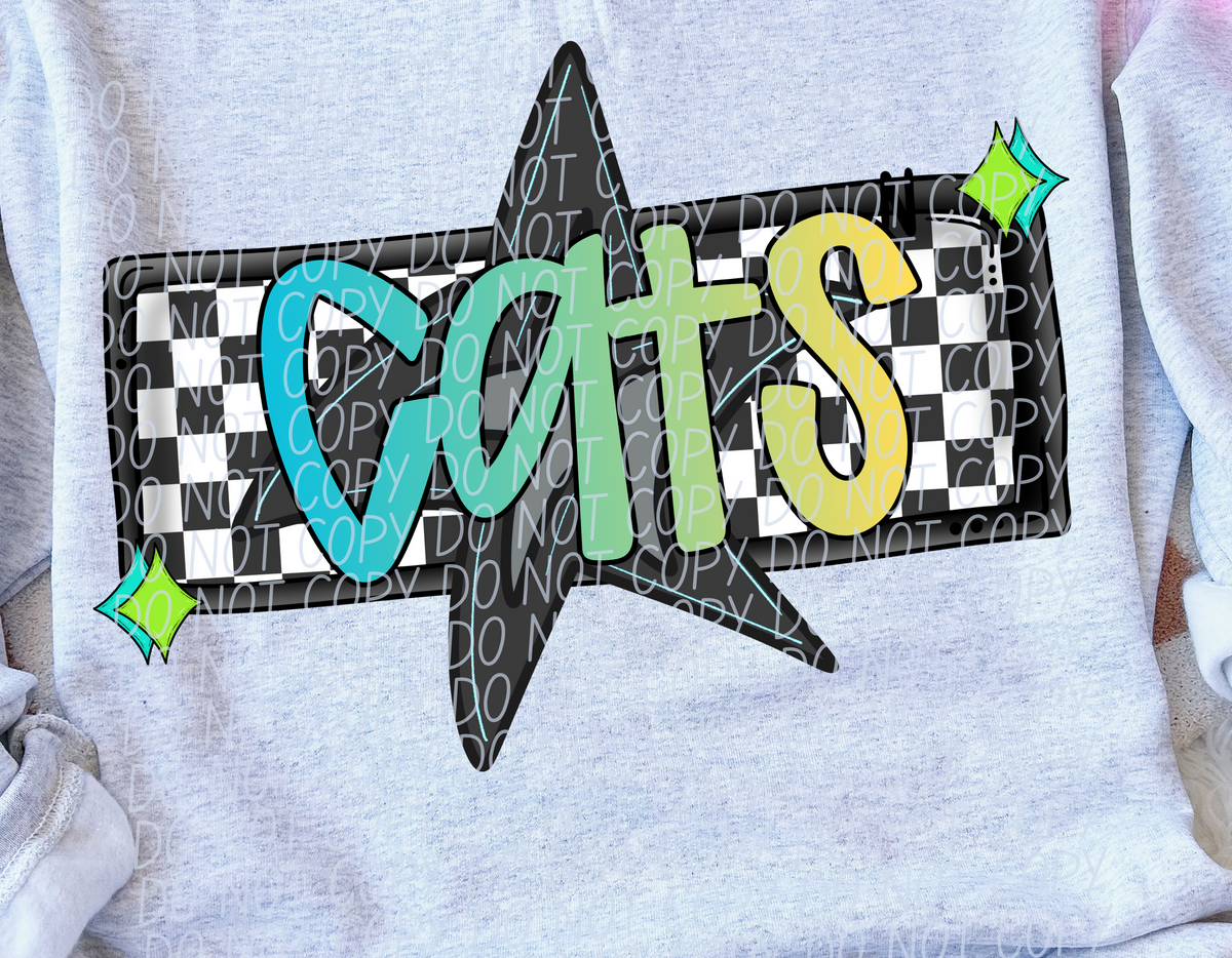 Cats Skater Boy Mascot (City) DTF transfer