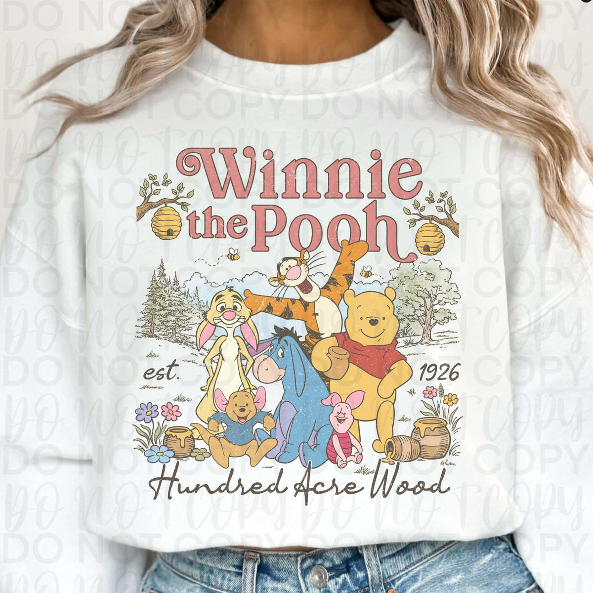 Hundred acre Sunday special DTF transfer