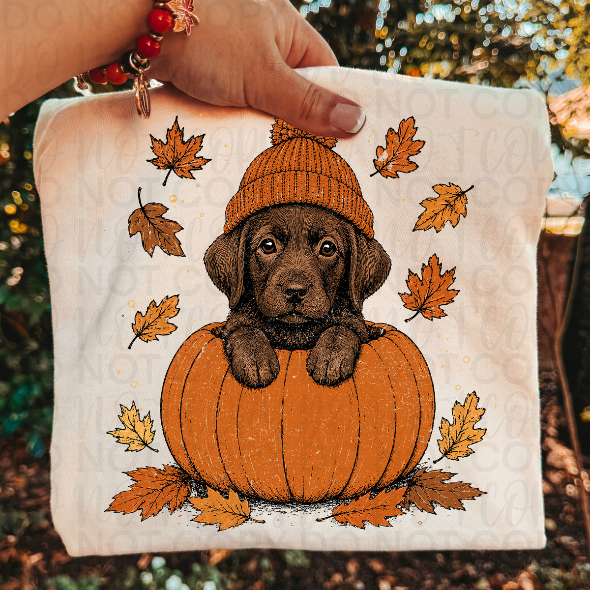 Pumpkin Chocolate Lab UAC Tuesday Deal DTF