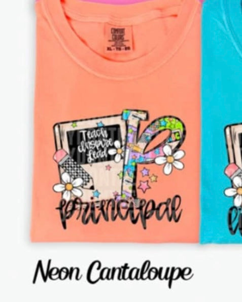 P principal school notebook (SDD) 98686 DTF transfer