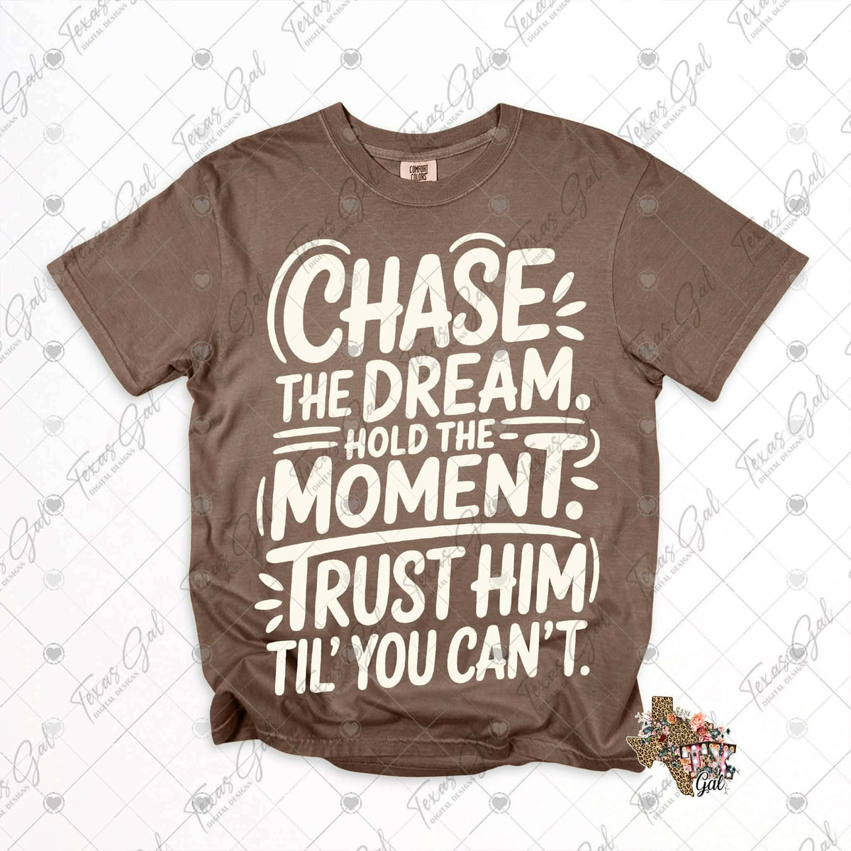 Chase the dream hold the moment WHITE (Texasgal) DTF Transfer