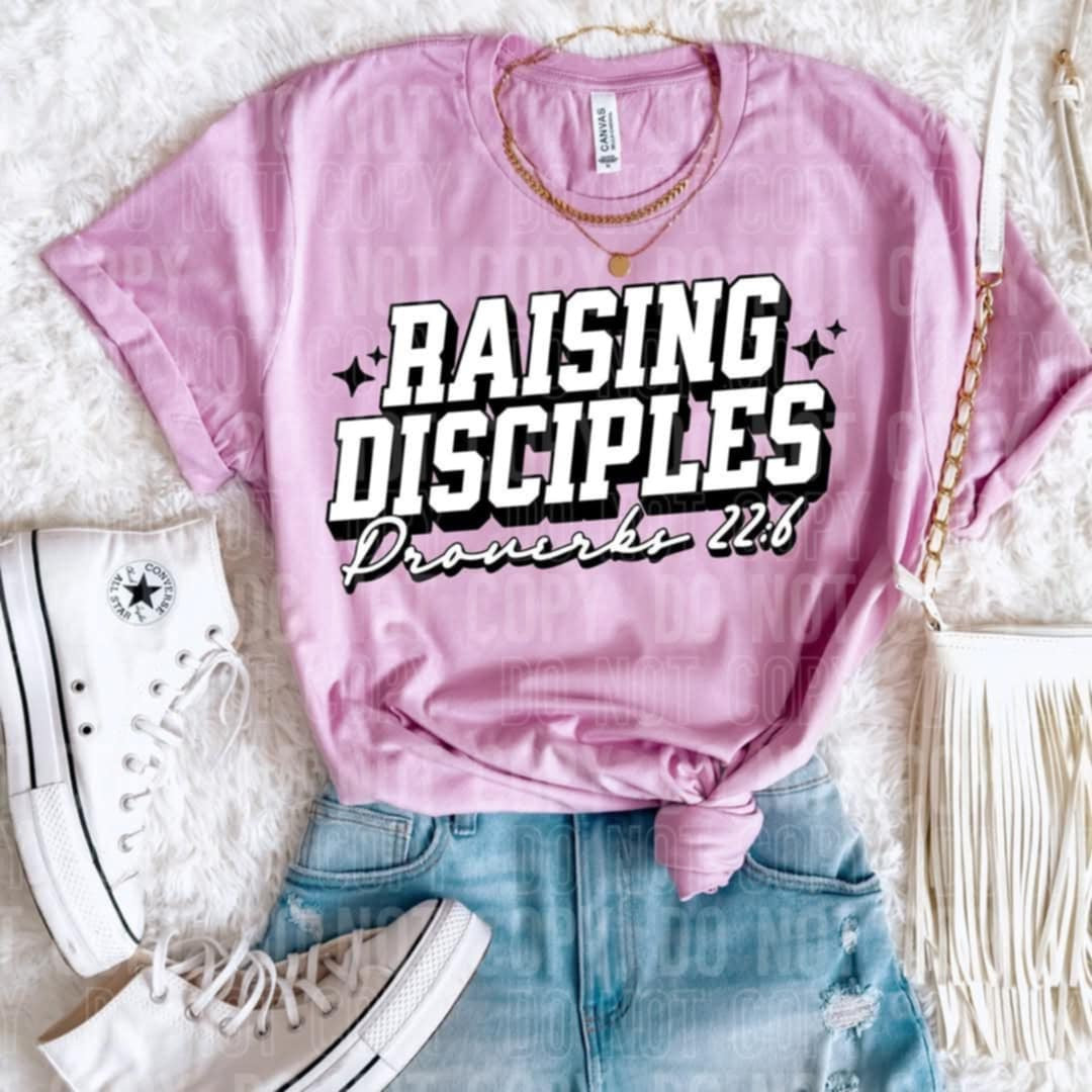 Raising disciples proverbs 22:6 (SBB) 96247 DTF transfer