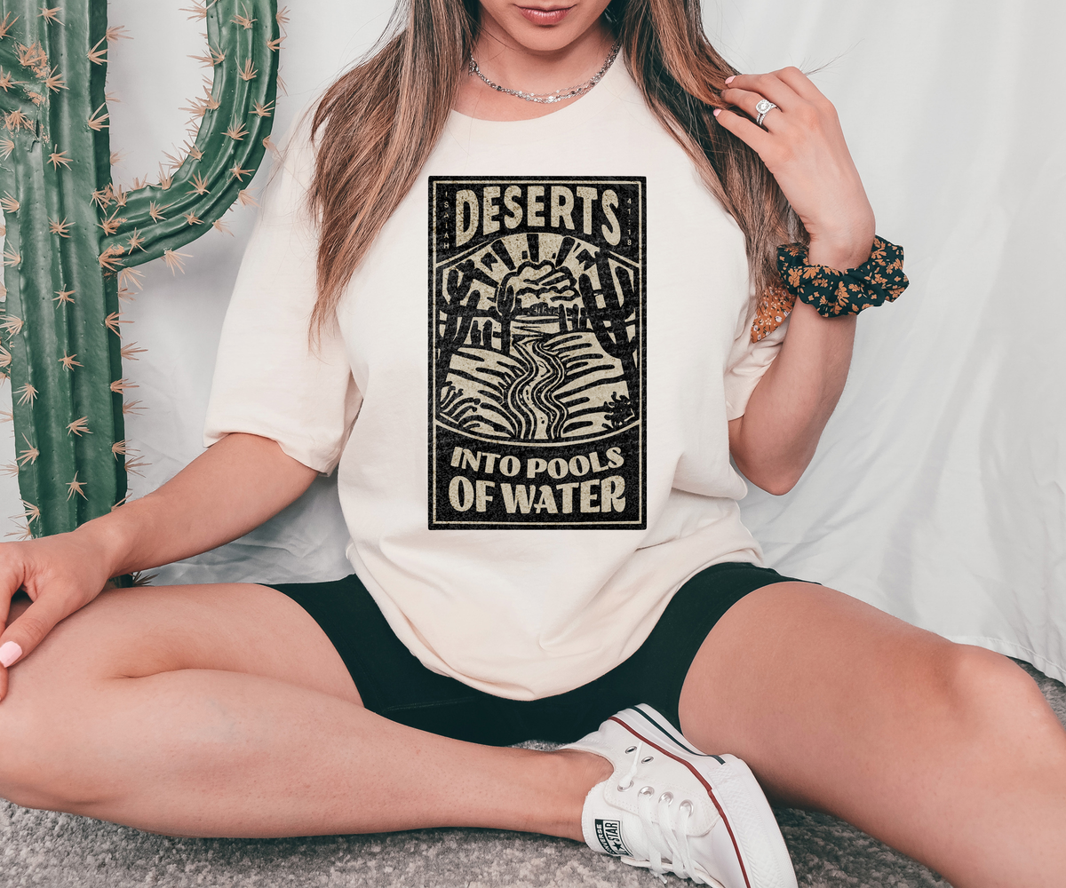 Deserts Into Pools Of Water Isaiah 41:18 81141 DTF Transfer