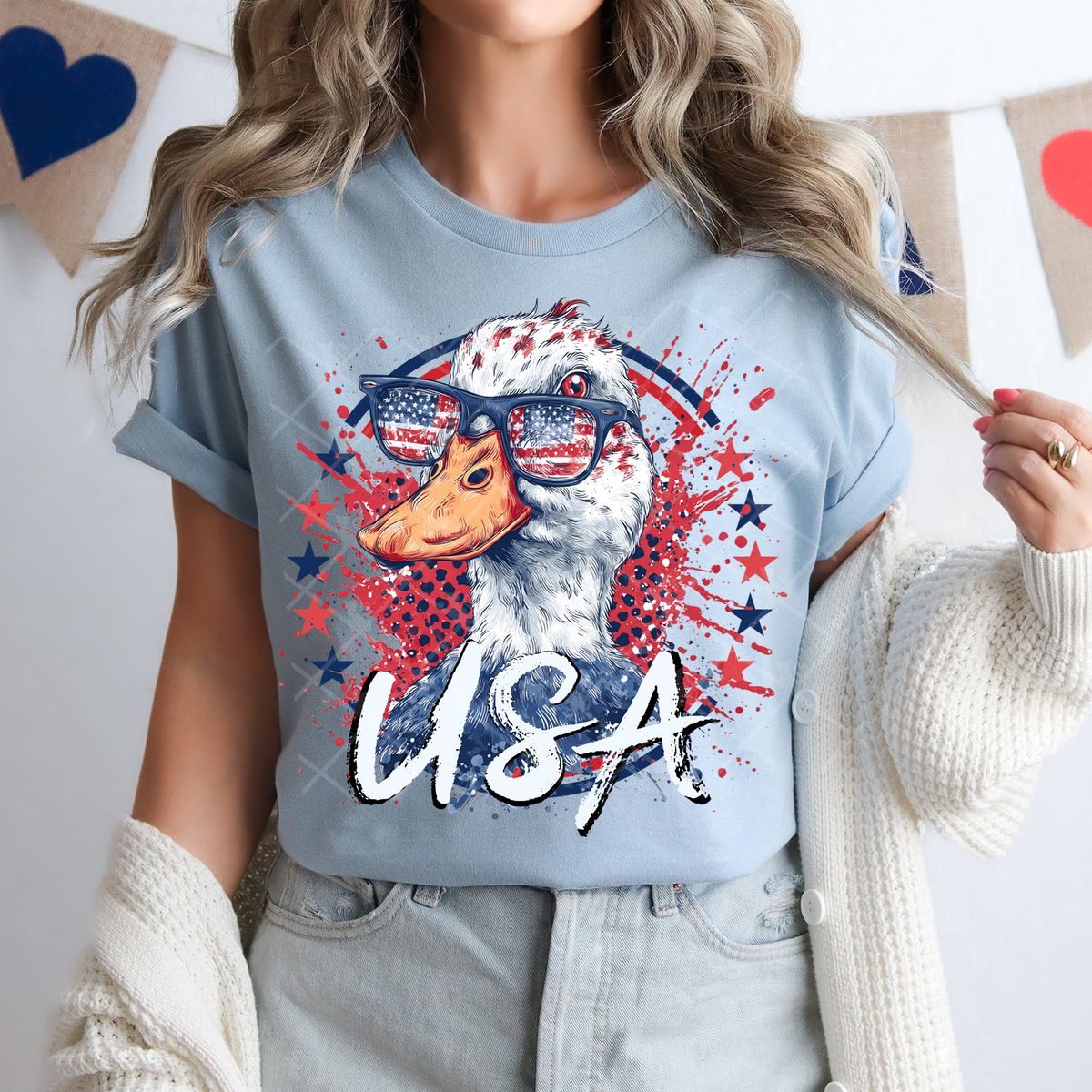Duck patriotic circle (TTD) DTF Transfer