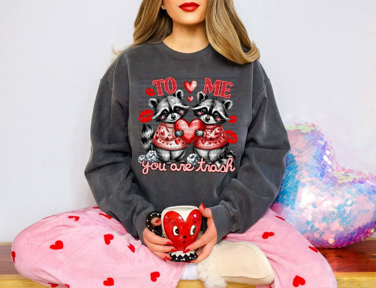 To me you are trash raccoons (SCG) DTF Transfer