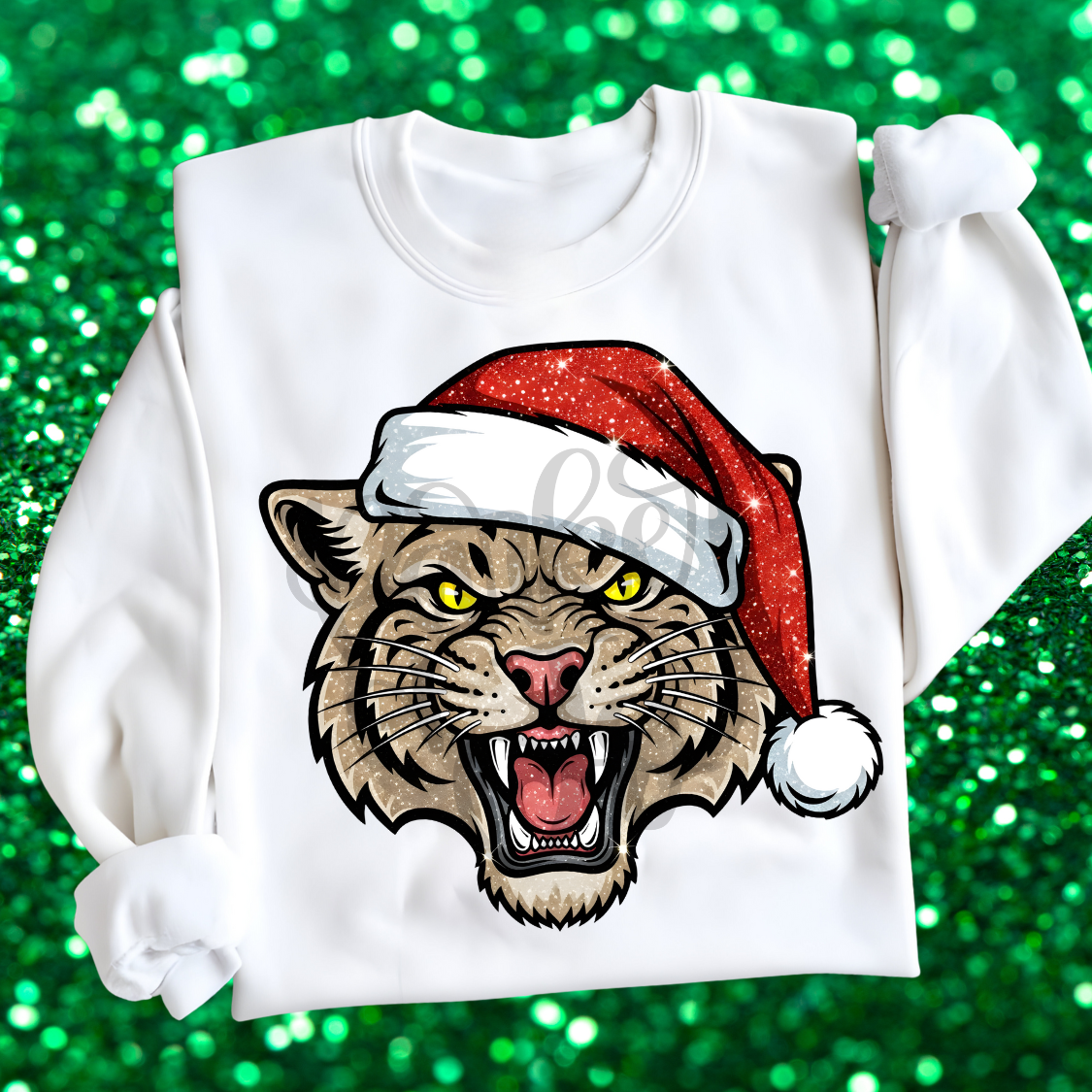Lion Santa Hat (PARKER) DTF transfer