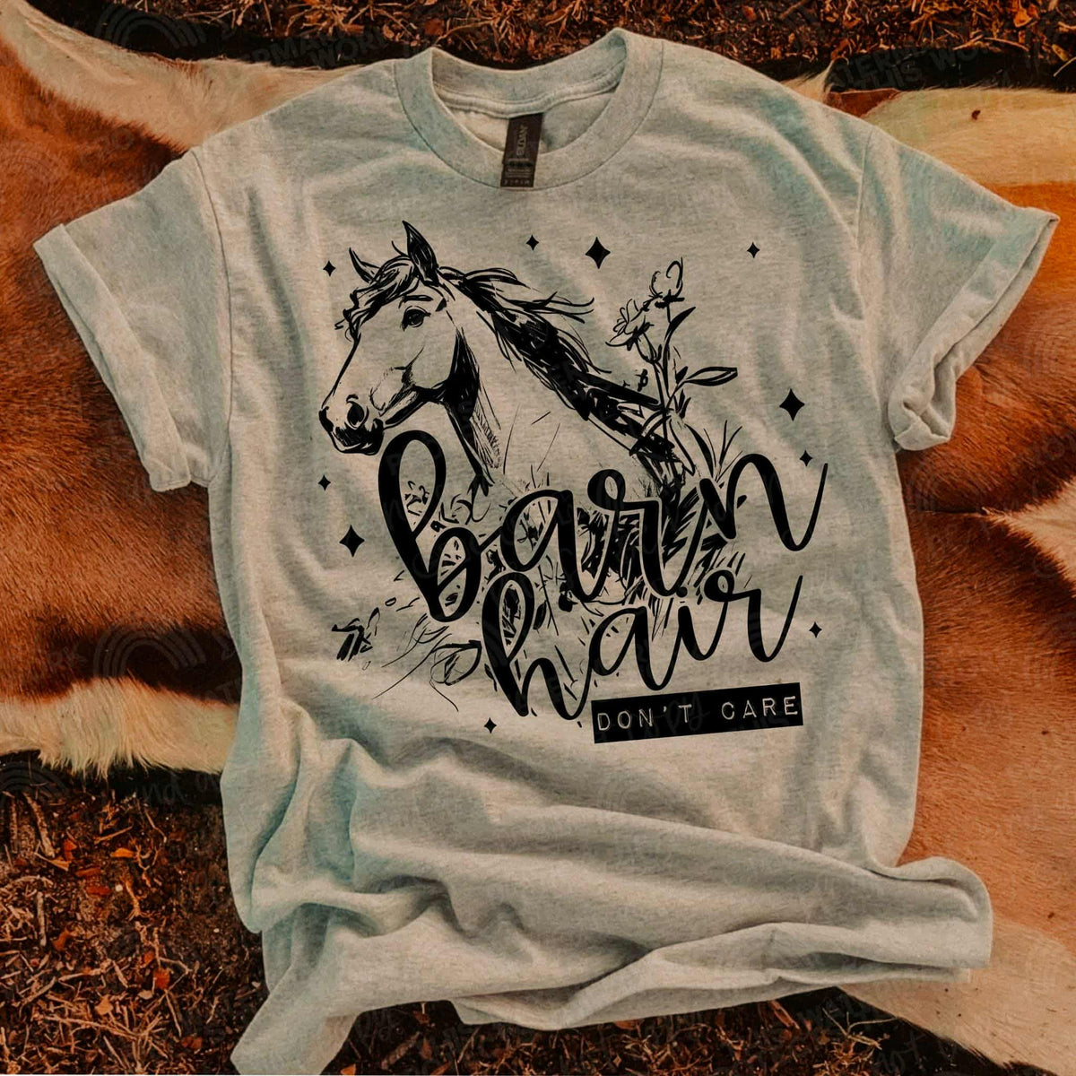 Barn Hair don’t care horse (Sal) DTF transfer