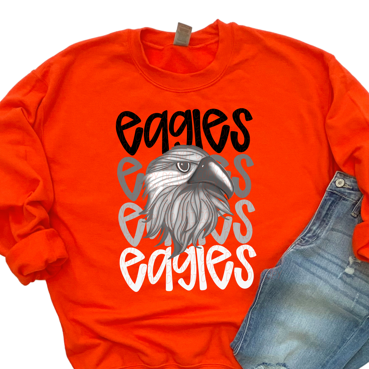 Eagles Grey Feather Word Stacked (CITY) 57440 DTF transfer