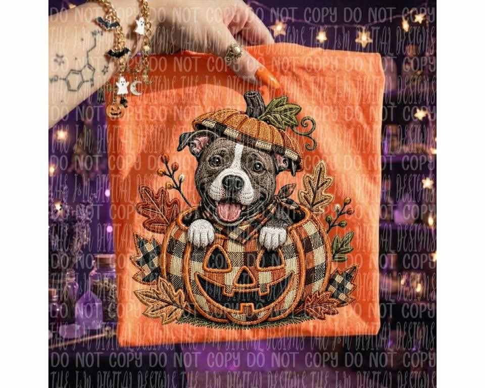 Brown and white pit bull in pumpkin (J&M) DTF transfer