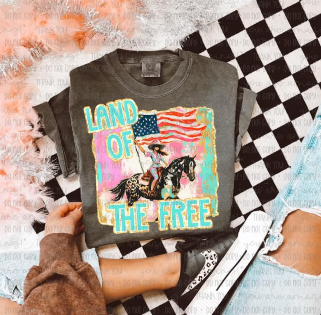 Land of the free horse (OHD) 99379 DTF transfer