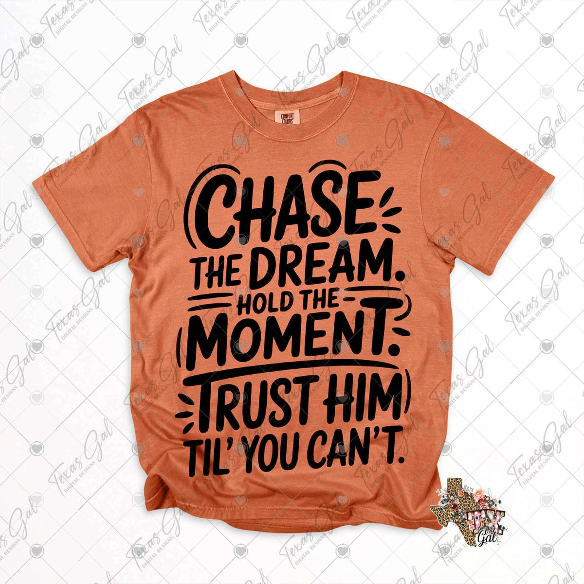 Chase the dream hold the moment BLACK (Texasgal) DTF Transfer