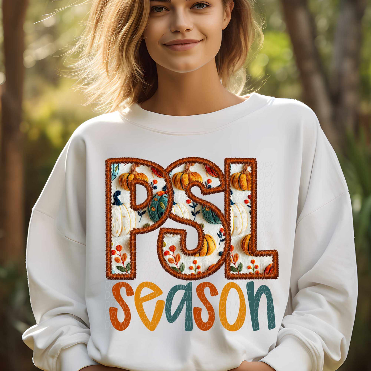 PSL season (CITY) 62331 DTF transfer