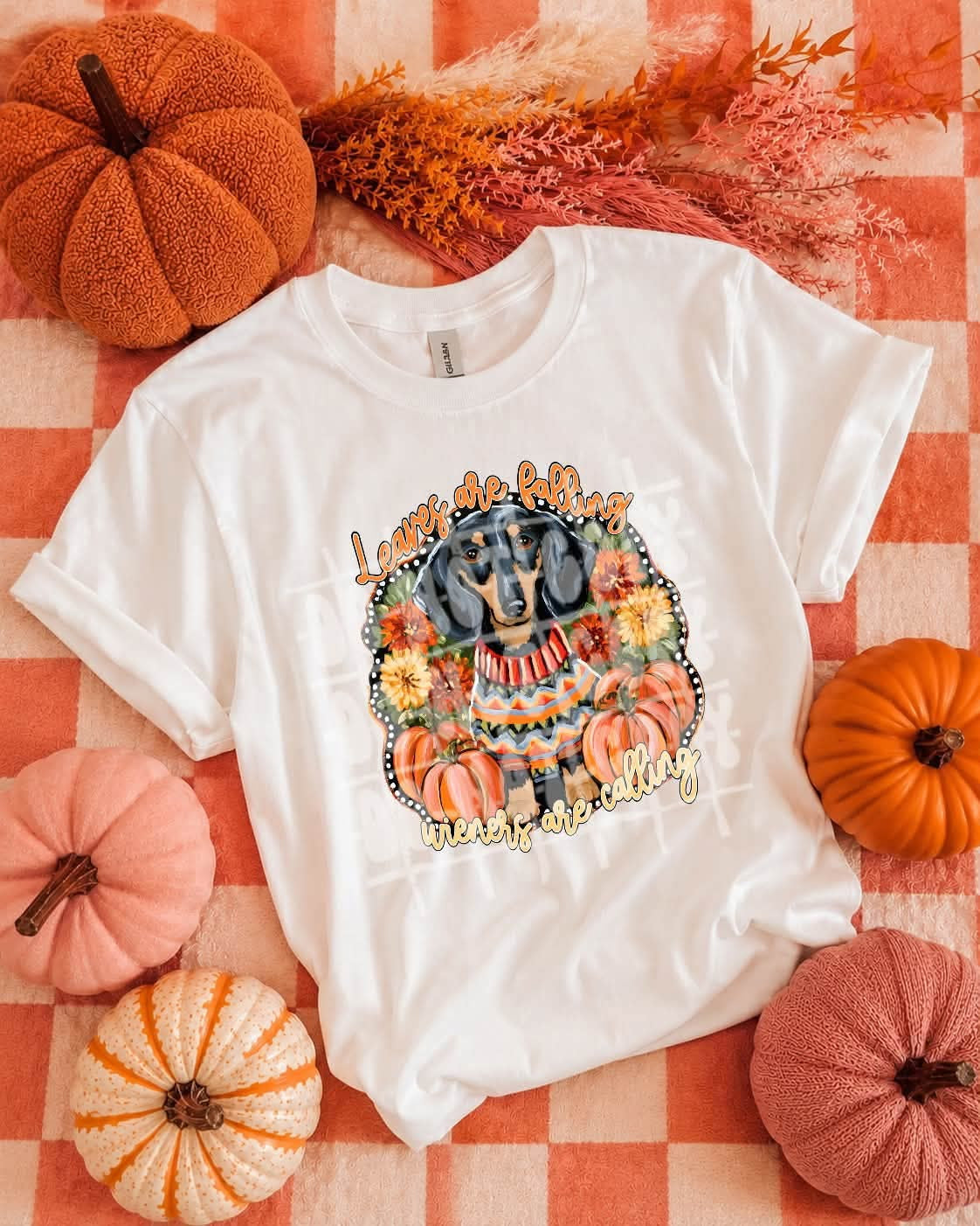 Leaves are falling dog Sunday Special DTF transfer