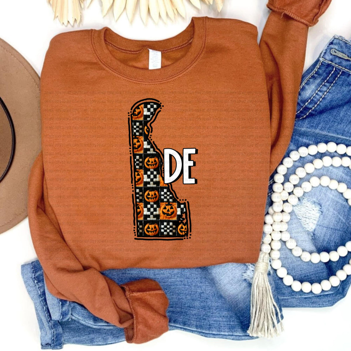 Delaware pumpkin checker REVEL DTF transfer