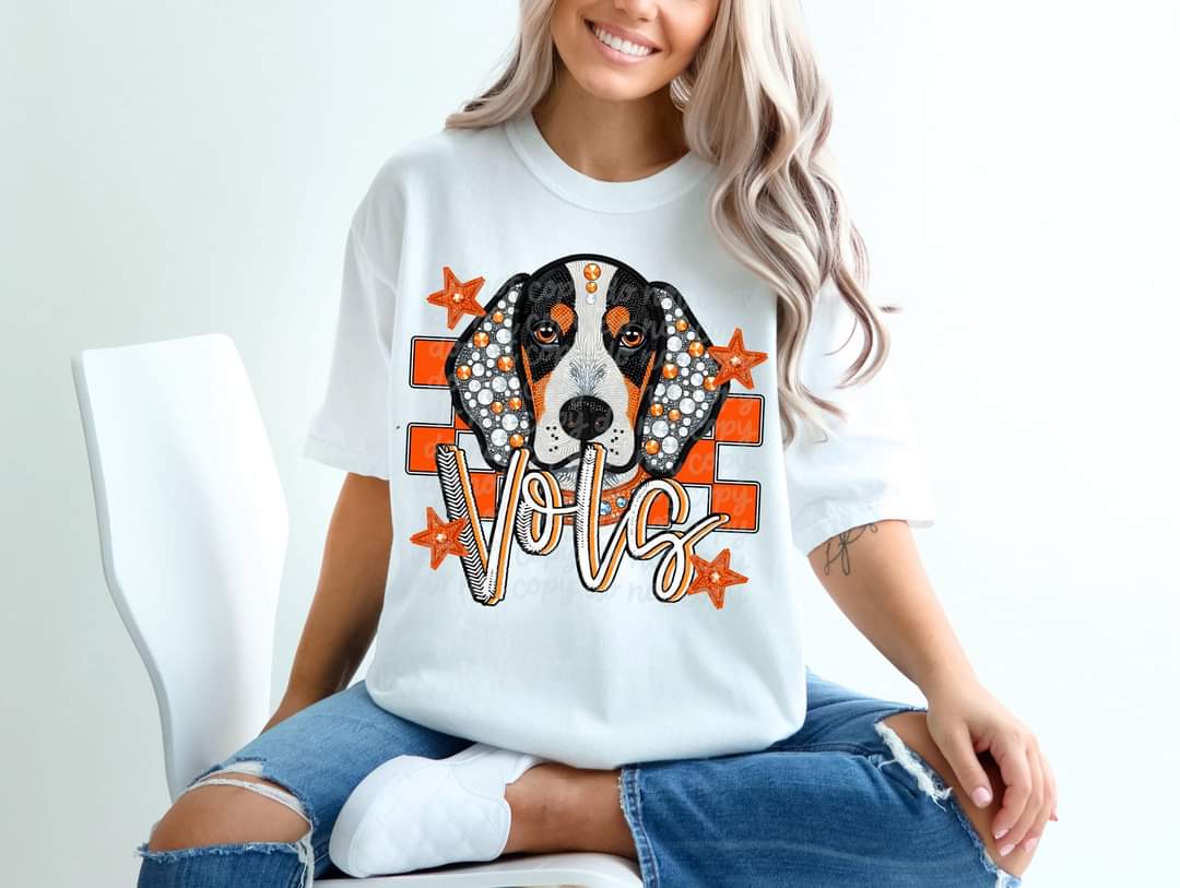Vols orange (stones) (c's)  DTF transfer