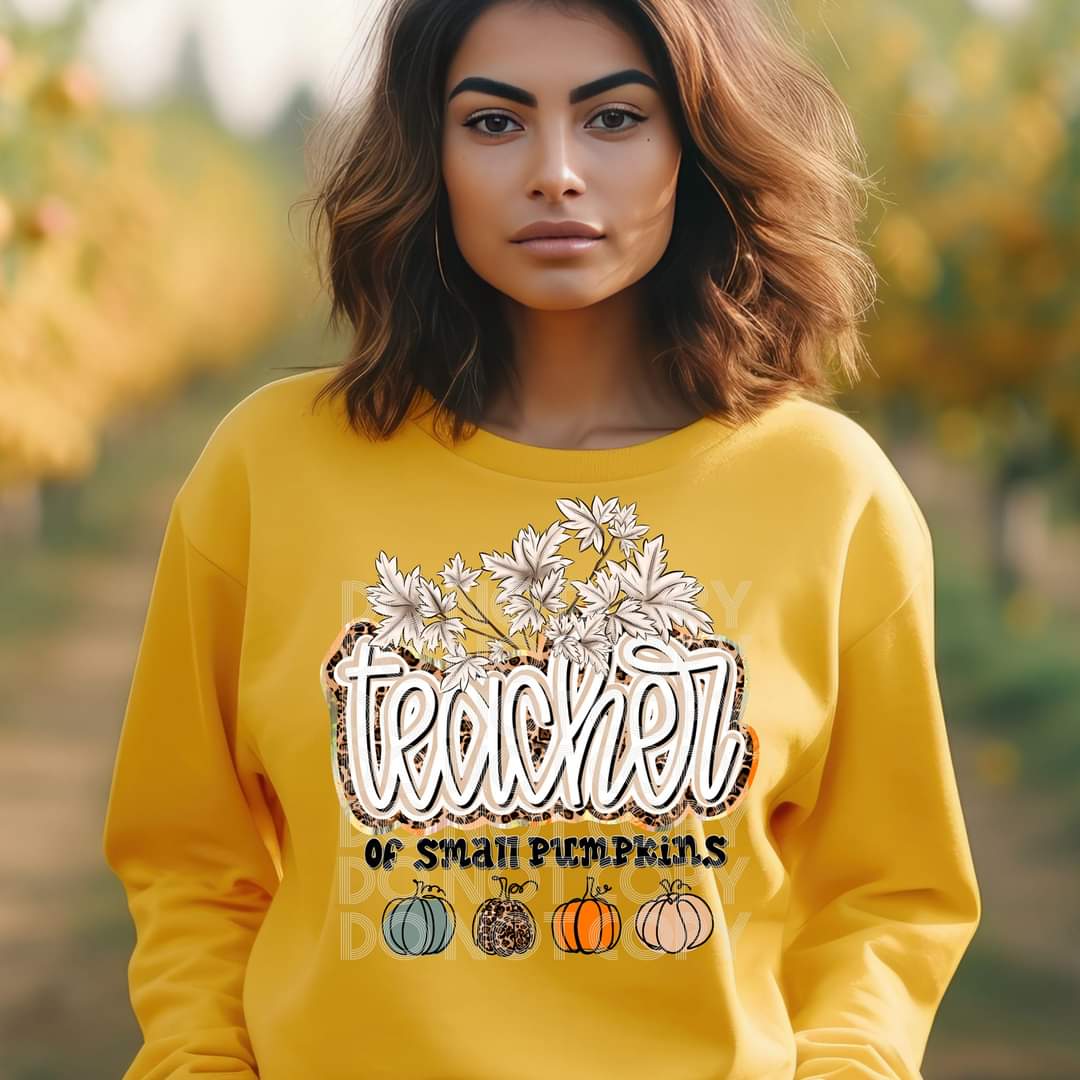 Teacher of small pumpkins SSD 45653 DTF transfer