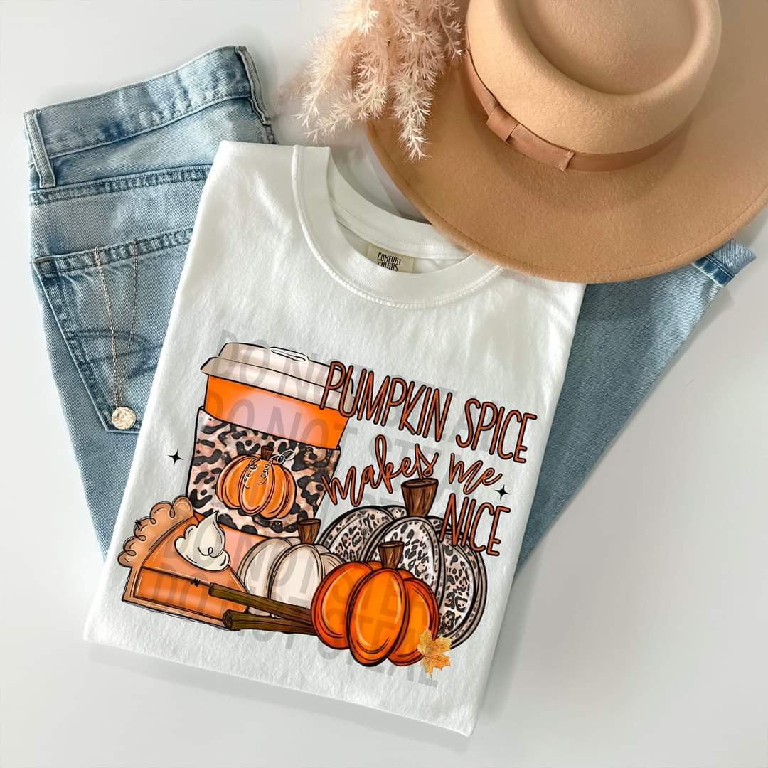 Pumpkin spice makes me nice 5003 DTF TRANSFER