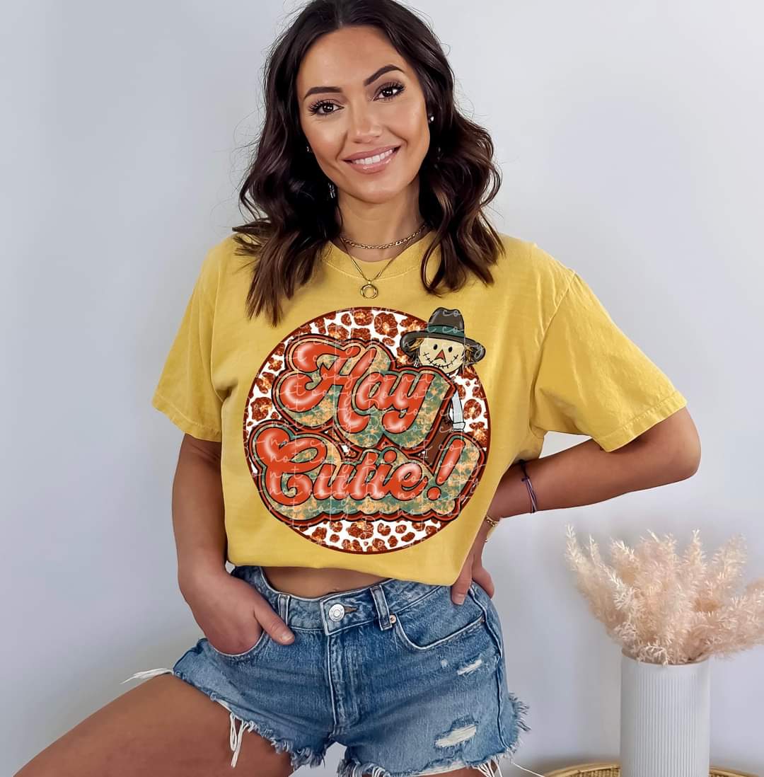 Hay cutie! Scarecrow circle exclusive DTF TRANSFER
