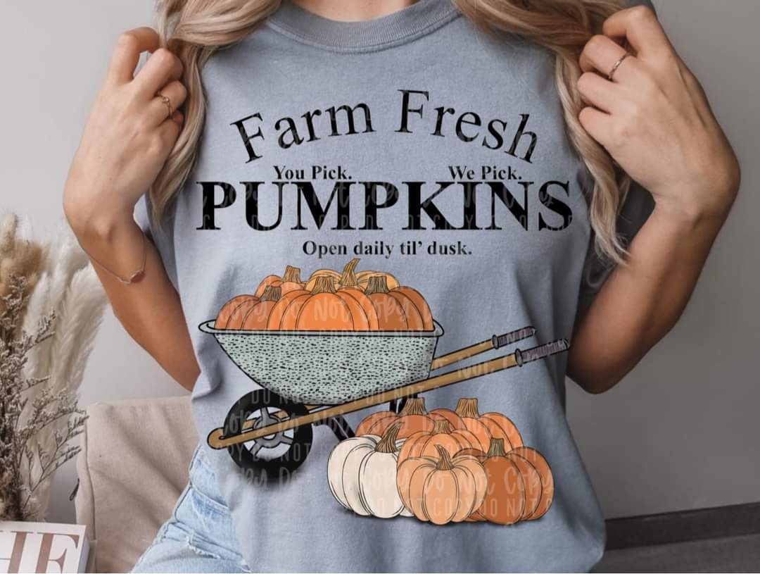 Farm fresh pumpkins open daily barrel with pumpkins DTF Transfers