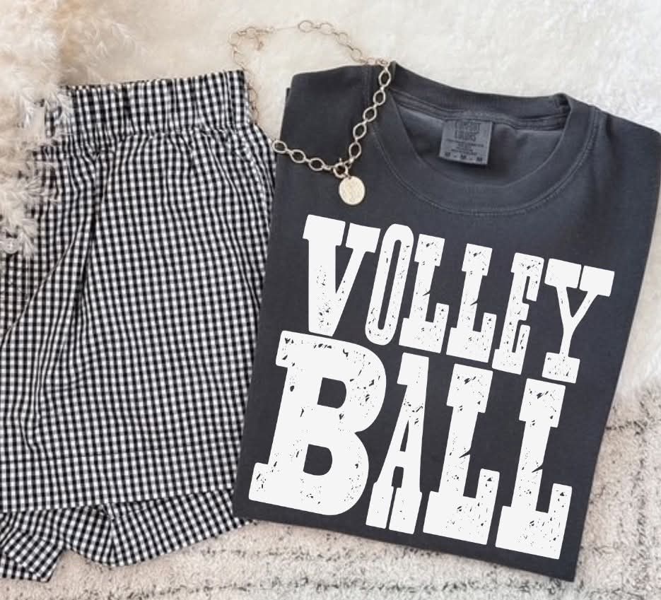 Volleyball white (S&G) DTF Transfer