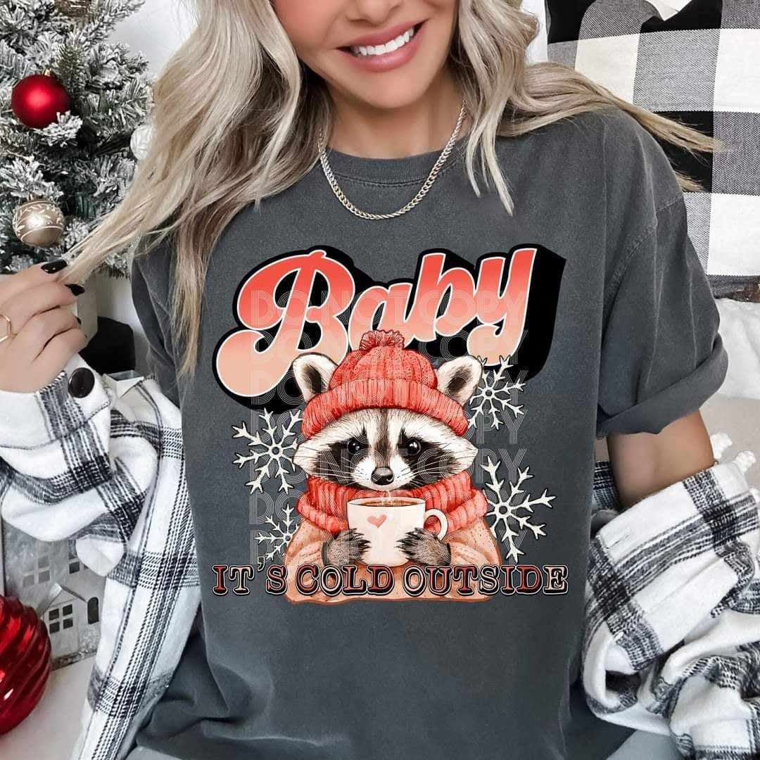 Baby it’s cold outside raccoon (PH) 65631 DTF transfer