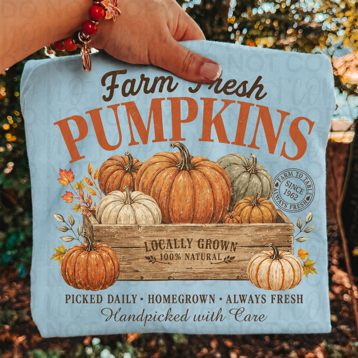 Farm fresh pumpkins UAC Tuesday Deal DTF