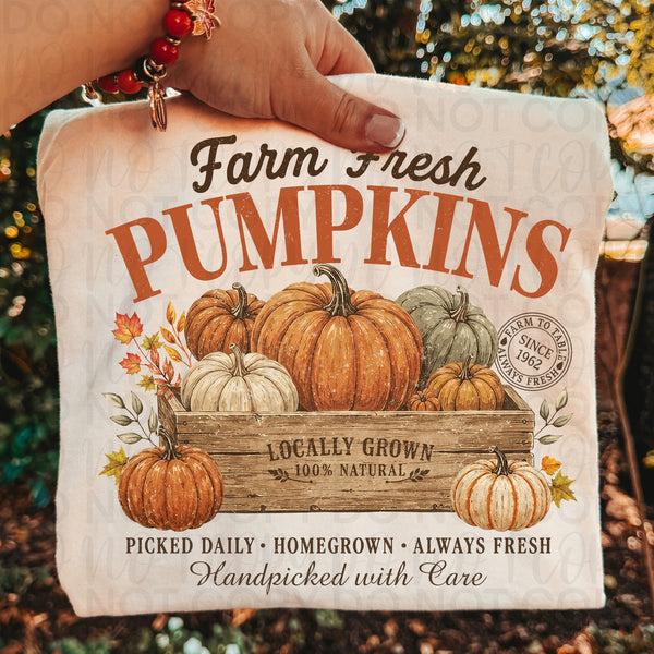 Farm fresh pumpkins UAC Tuesday Deal DTF