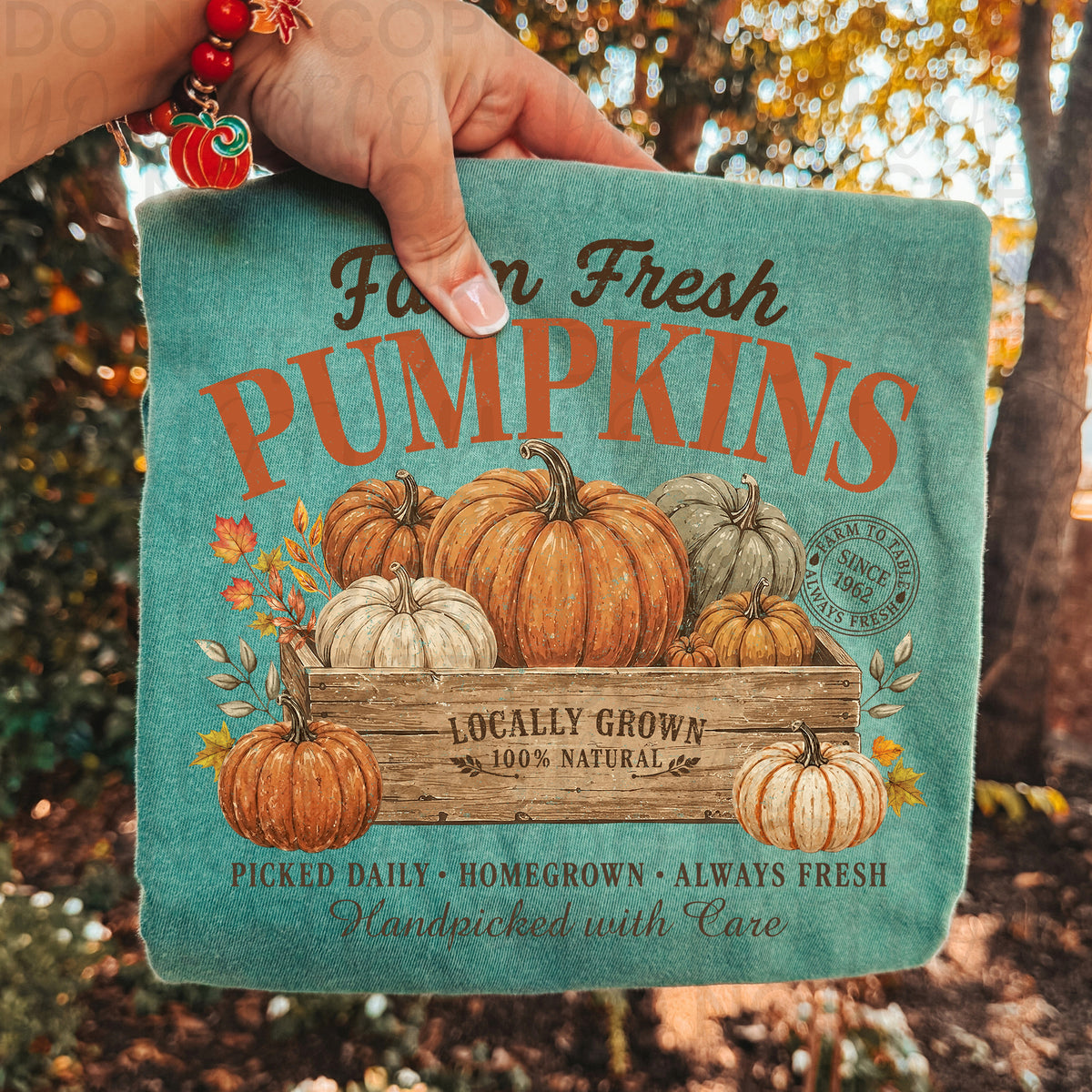 Farm fresh pumpkins UAC Tuesday Deal DTF