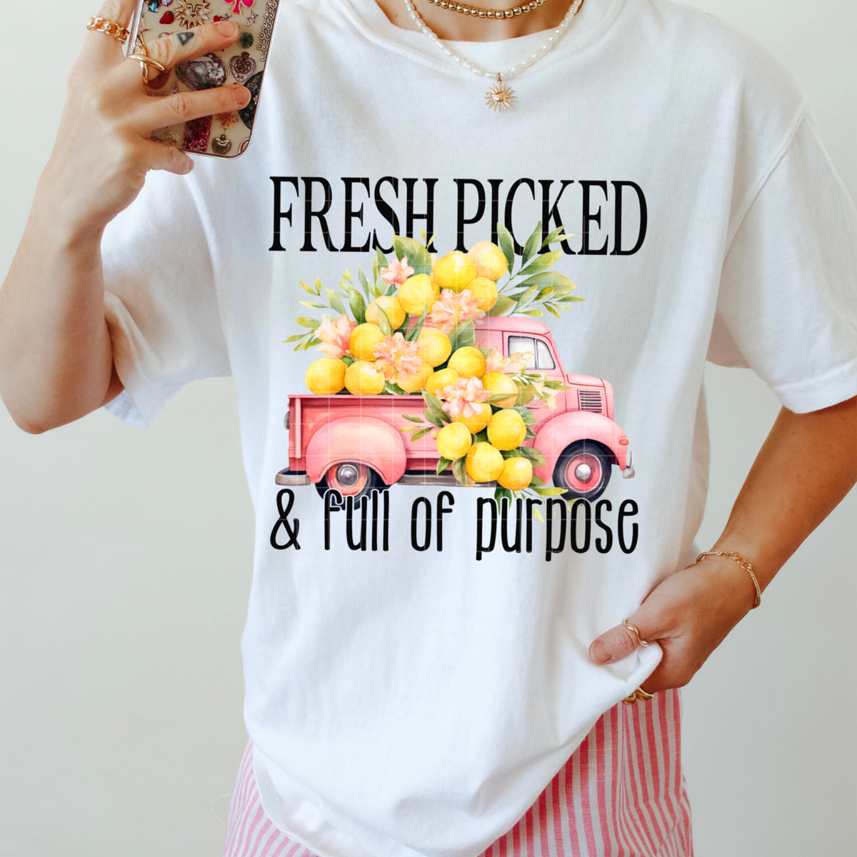 Frish picked & full of purpose truck (SDD) DTF Transfer
