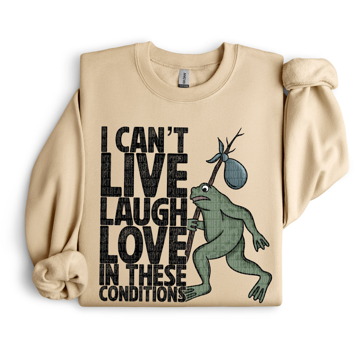 I Can't Live Laugh Love In These Conditions Frog Black Font 104332 DTF transfer