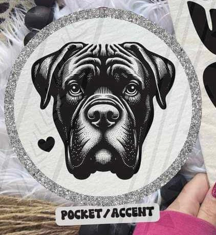 Cane corso pocket 35987 DTF transfer