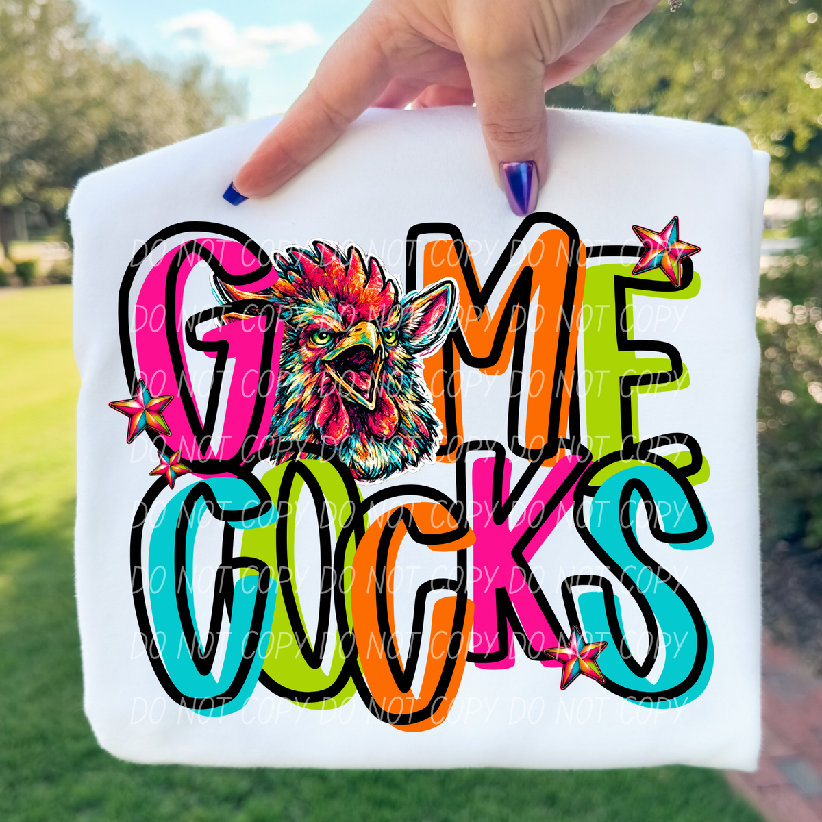 gamecocks rainbow stacked with head (city) DTF Transfer