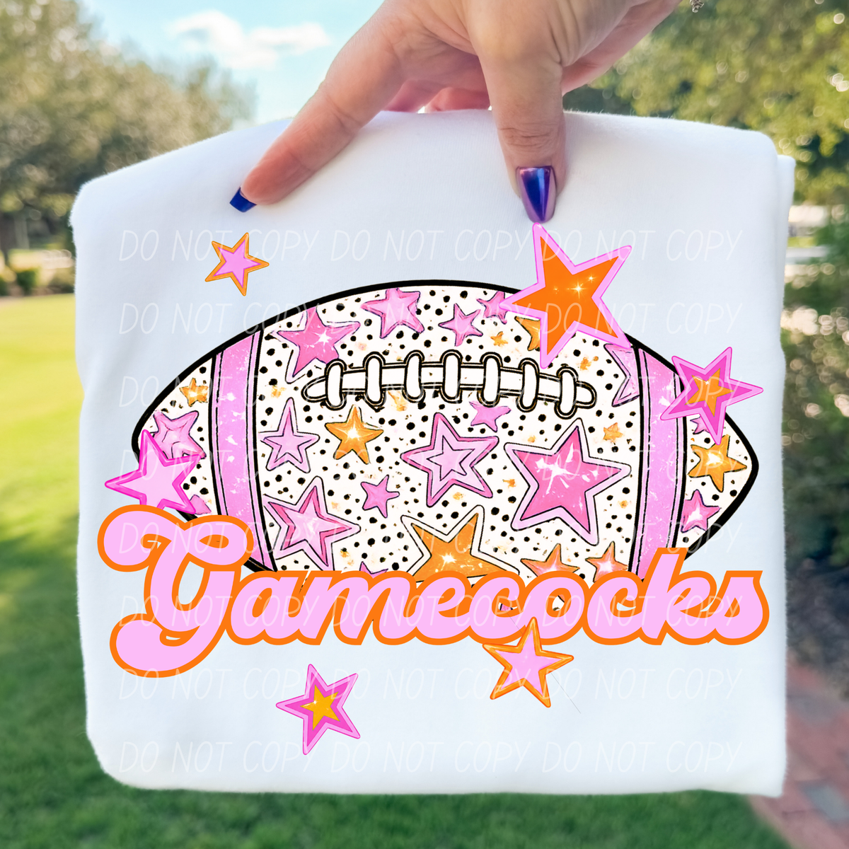 Gamecocks pink football (city) DTF transfer
