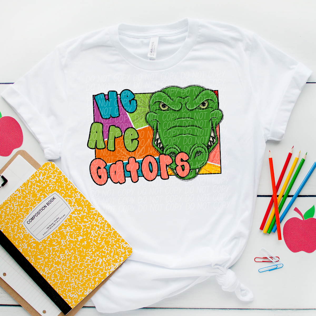 We are gators retro (City) 109685 DTF transfer