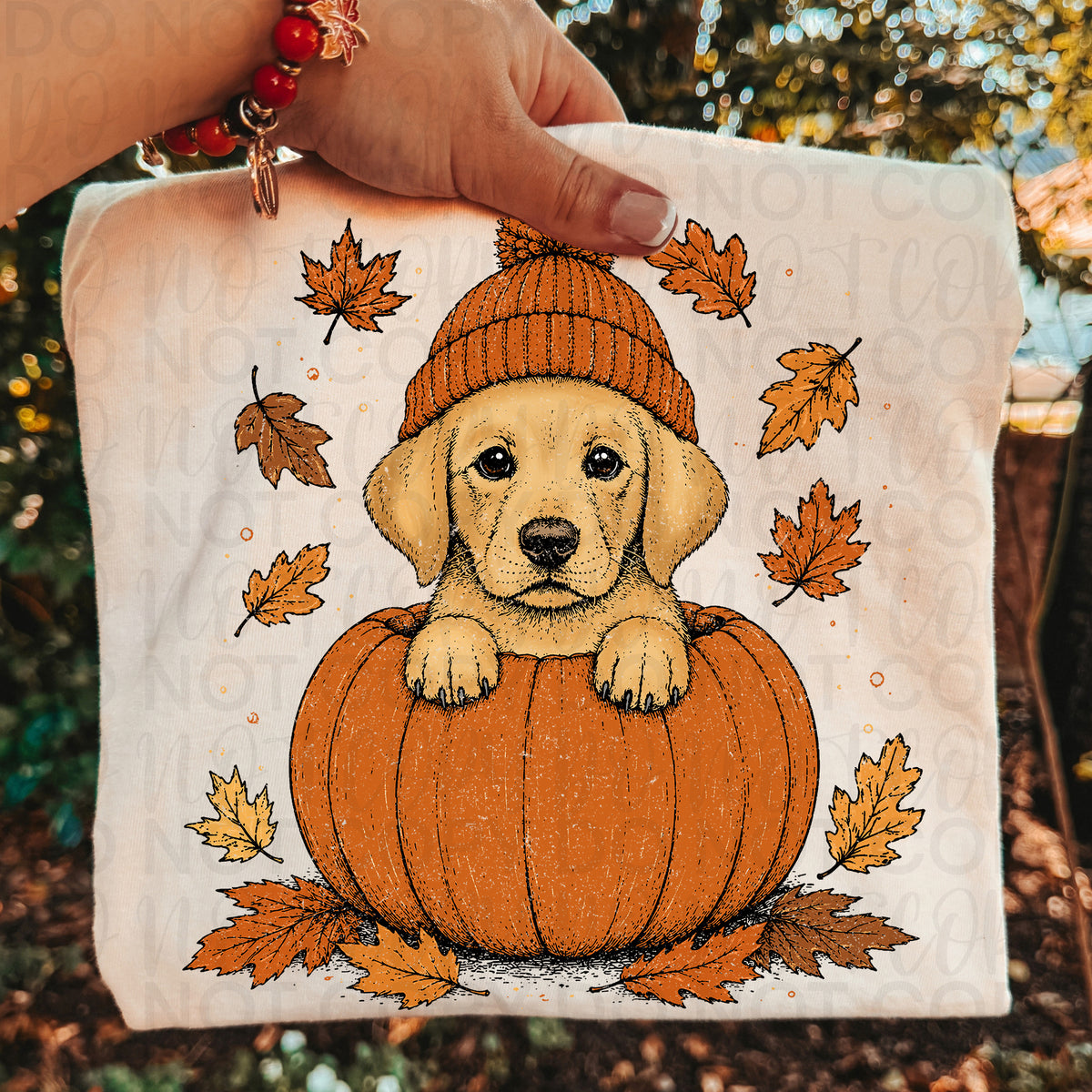Pumpkin Golden Lab UAC Tuesday Deal DTF