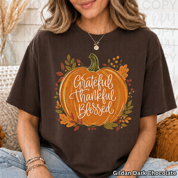 Pumpkin with Grateful Thankful Blessed wording (UAC) DTF Transfer