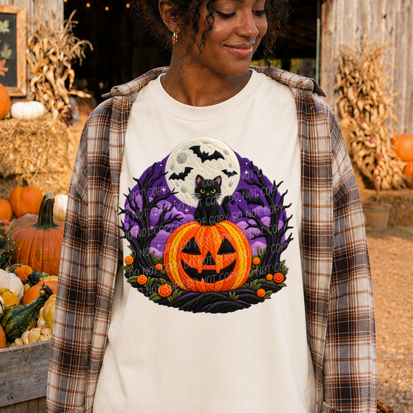 Halloween night-kitty sitting on pumpkin (City) DTF Transfer