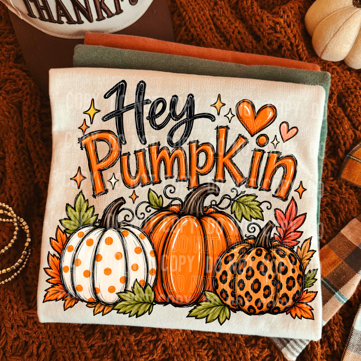 Hey pumpkin polkadot, orange and leopard pumpkin (SBB) DTF Transfer