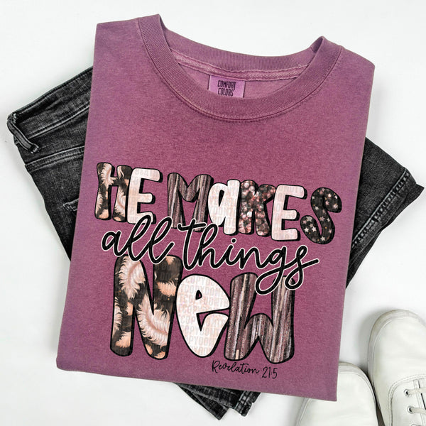 He Makes All Things New (SDD) DTF Transfer