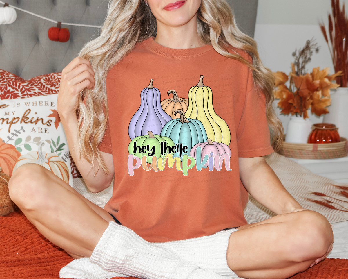 Hey There Pumpkin Pastel Color Pumpkins and Gourd 115580 DTF transfer