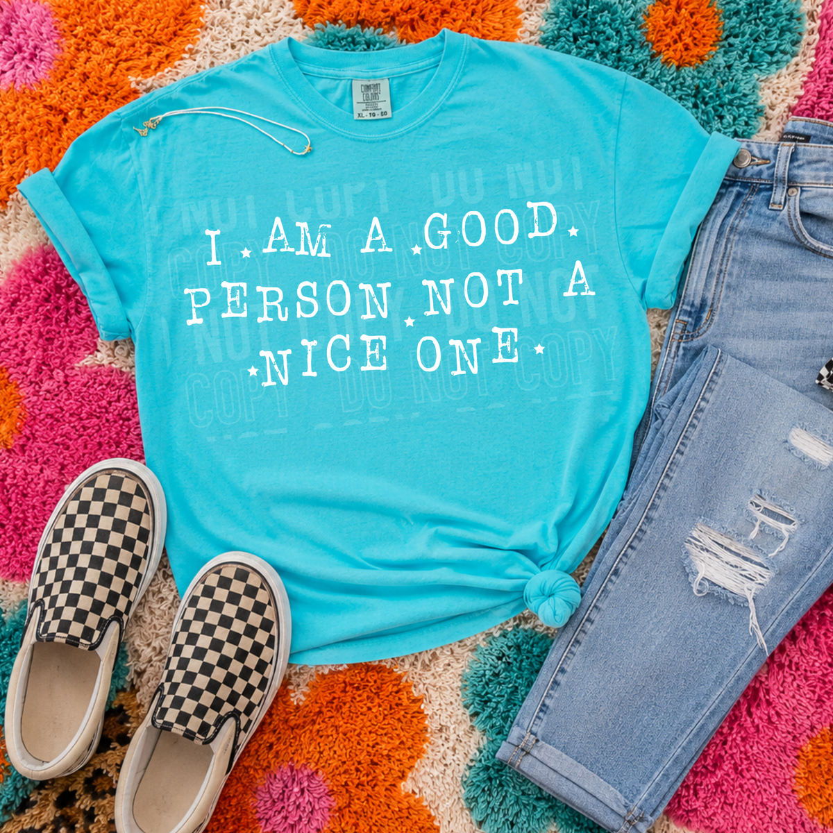 I am a good person not a nice one WHITE(SBB) DTF Transfer