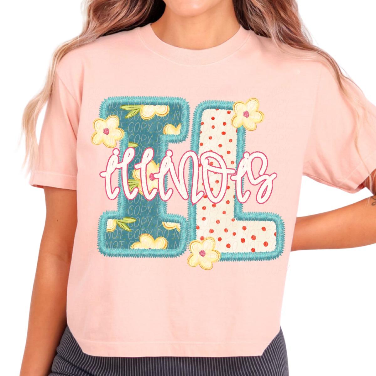 Illinois Retro floral (City) DTF Transfer