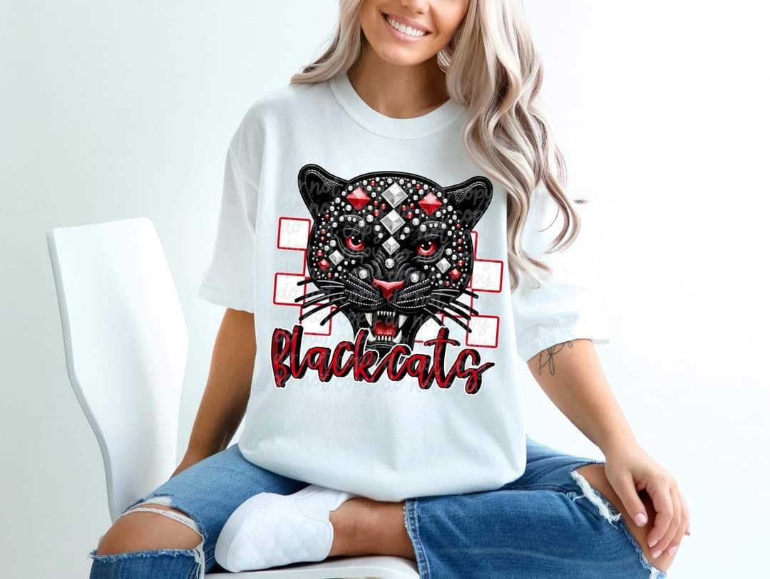 Black cats checkered background (C’s) 43457 DTF transfer