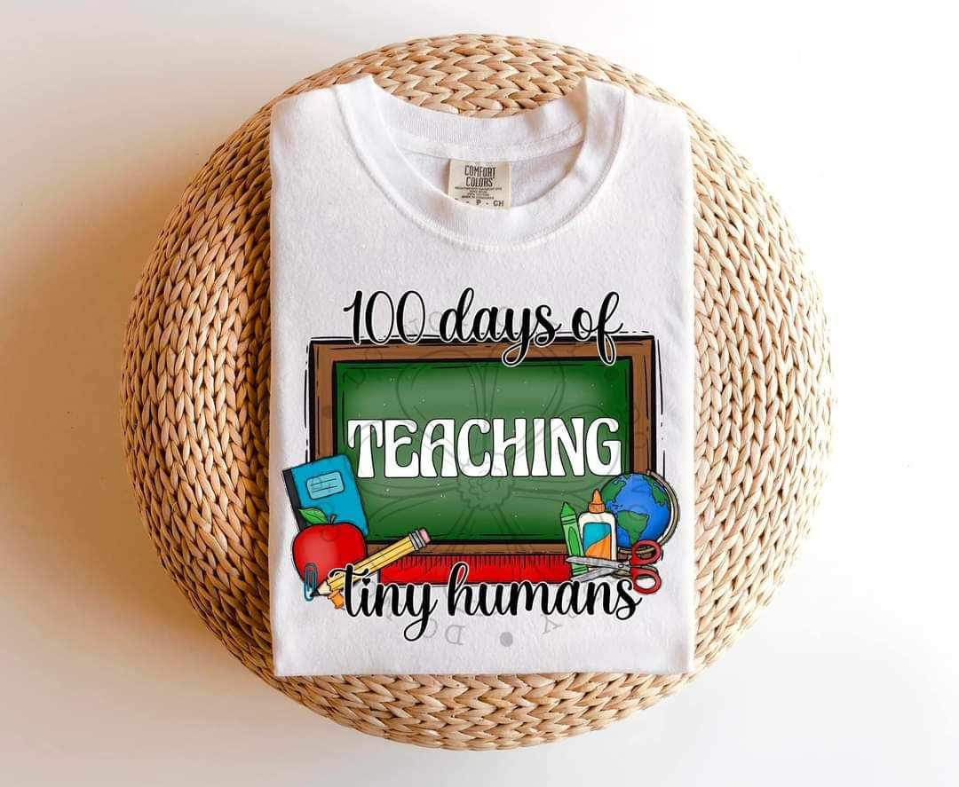 100 days of teaching tiny humans (four designs) 21283 DTF transfer
